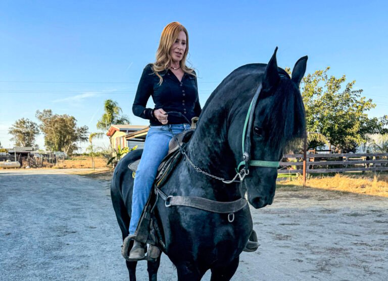 English or Western? My Humble Opinion After a Lifetime in the Saddle