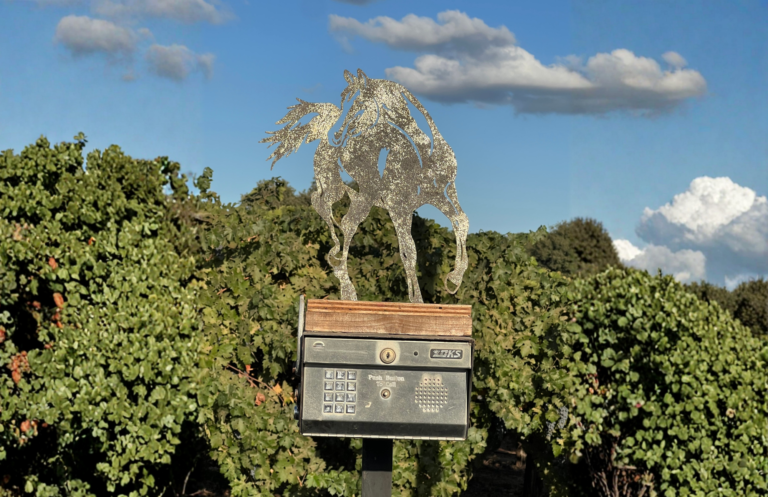 The Quiet End of the Ego Ranch
